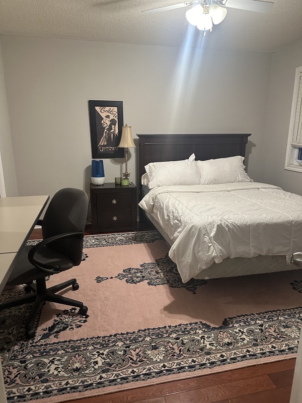 Removed stains and cleaned fringes from super dirty family rug