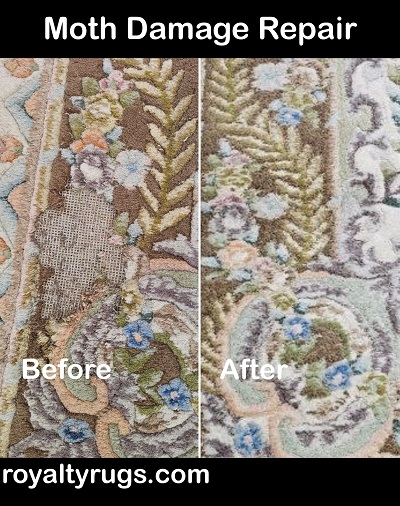 Rug Moth Damages Repaire - July 2026