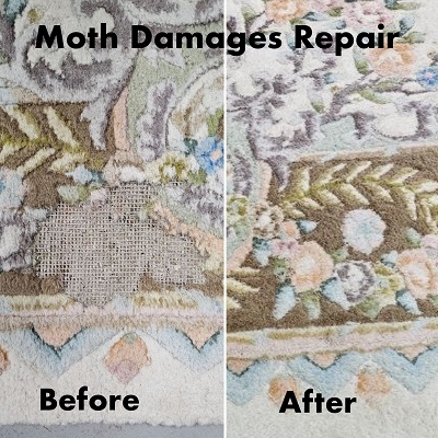 Rug Moth Damages Repaire - June 2026