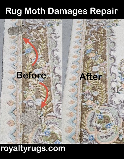 Rug Moth Damages Repaire - May 2026