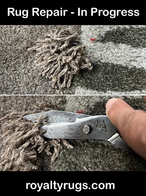 Repairing a Rug Damaged by Dog